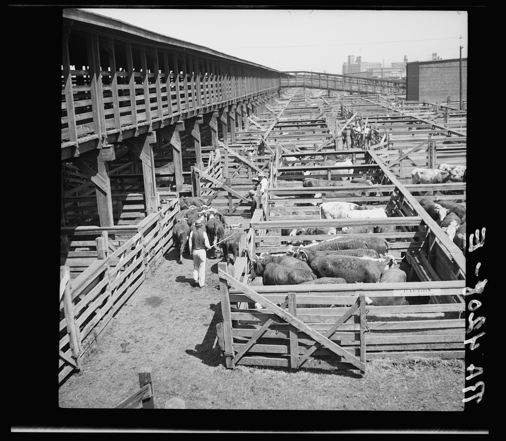 Black-and-white 1936 photograph of cattle pens, wooden walkways and stockmen at the Kansas City stockyards